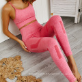 Two Piece Set Femmes Vêtements Breffe-tricot en tricot sans couture Leggings Set Yoga Suit